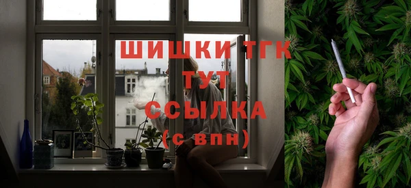 гашик Бородино