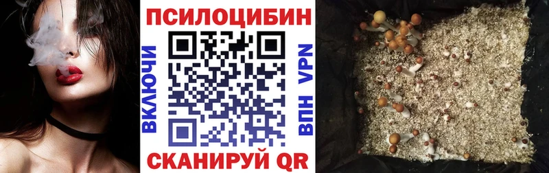Купить закладки  Королёв  Галлюциногенные грибы GOLDEN TEACHER 